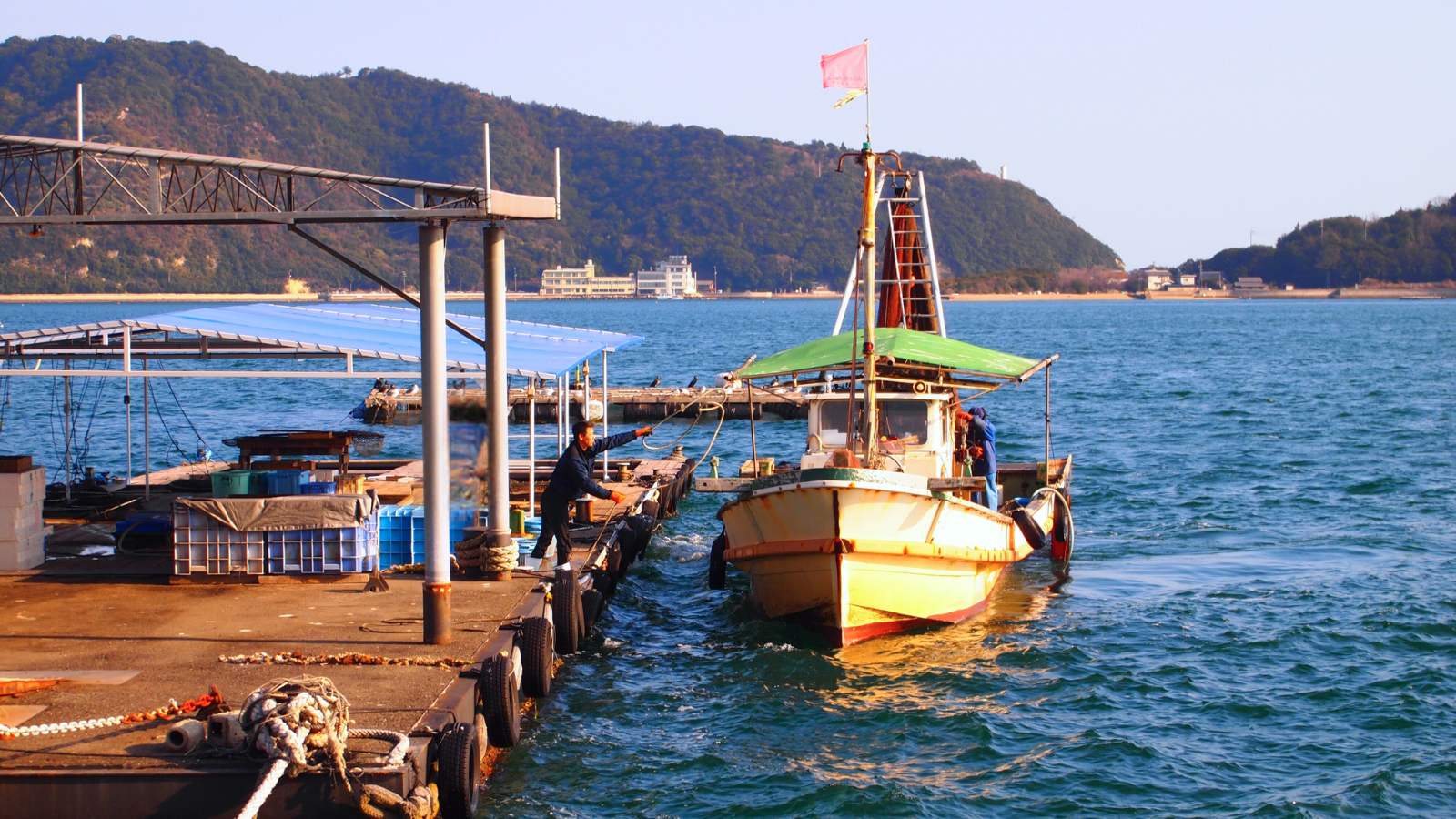 地元での水揚げ・市場への搬入の様子